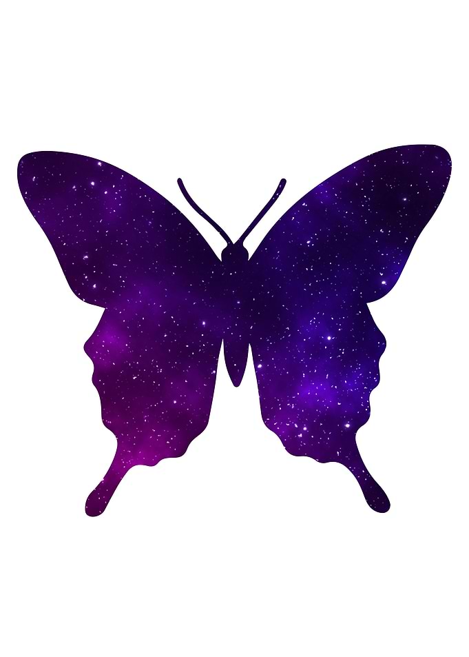Space Butterfly