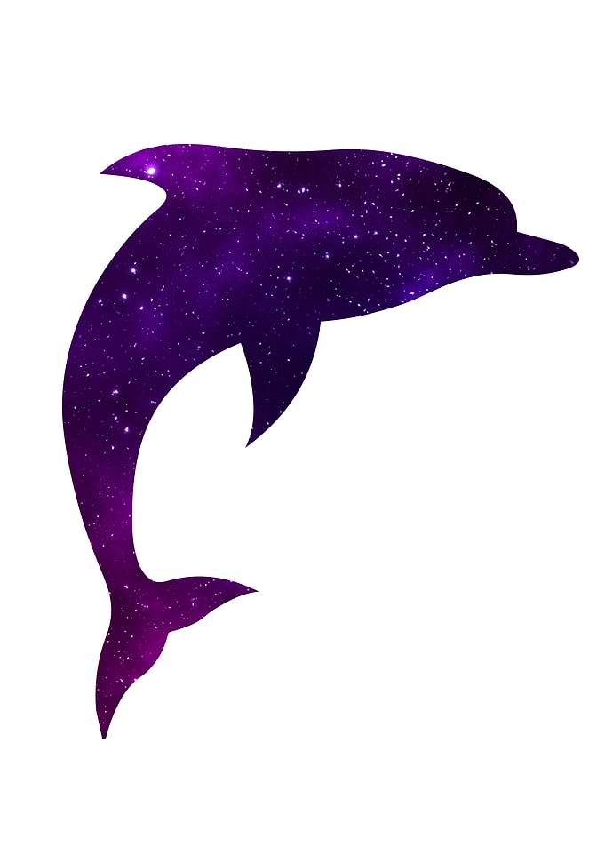 Space Dolphin
