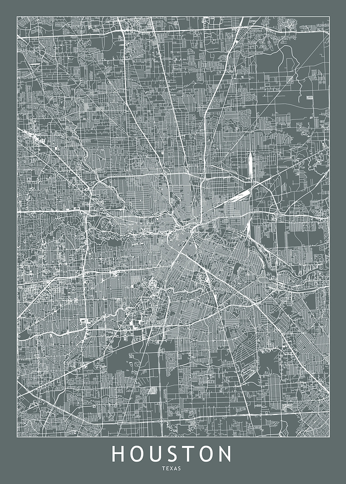 Houston Grey Map