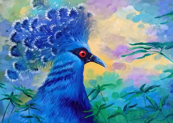 Peacock