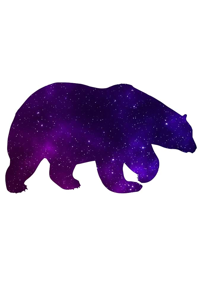 Space Bear