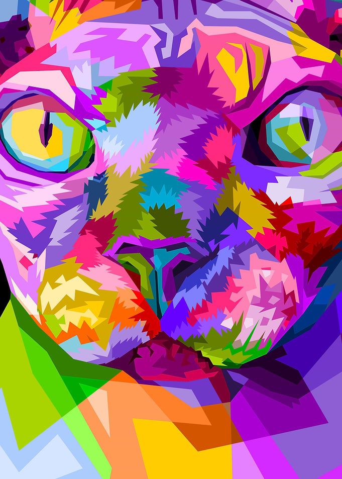 close up of face sphynx