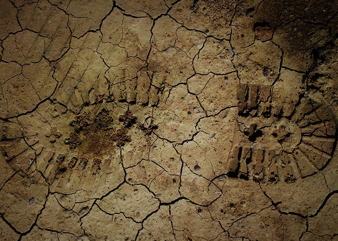 Footprint