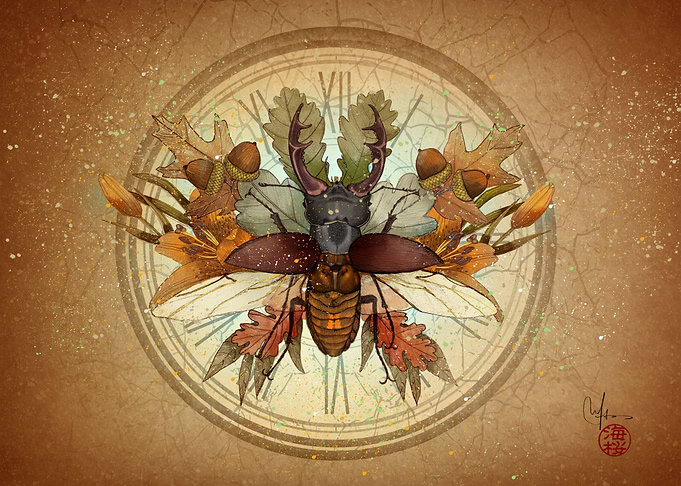 Lucanus Cervus