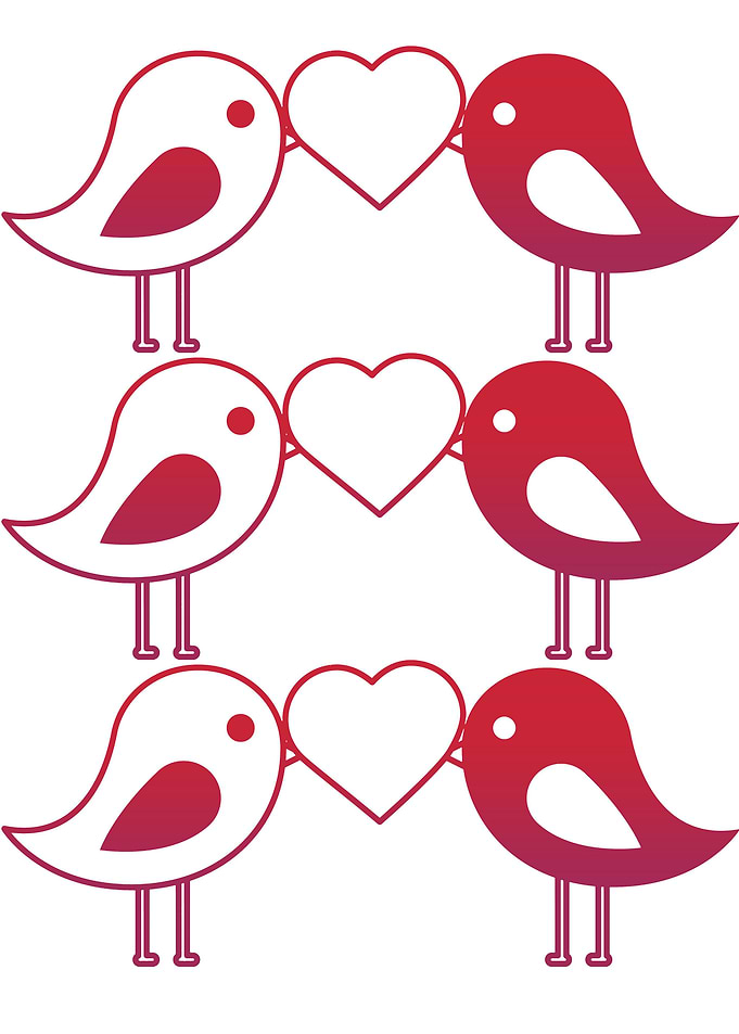 Bird Love