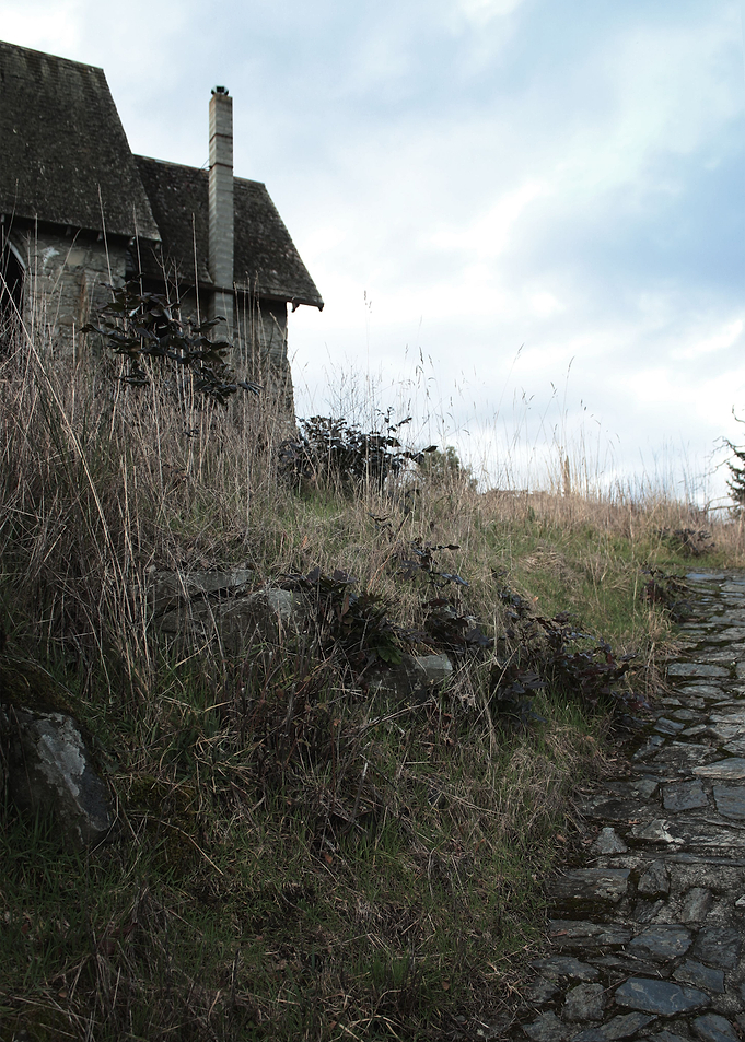 The Path