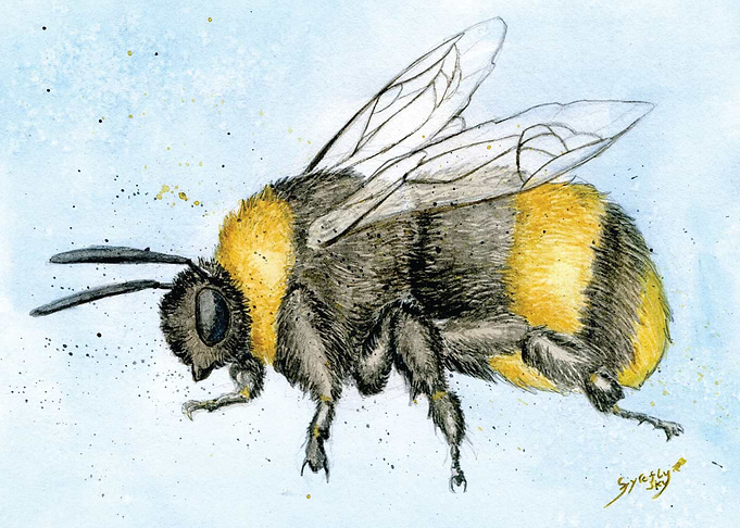 Bumblebee