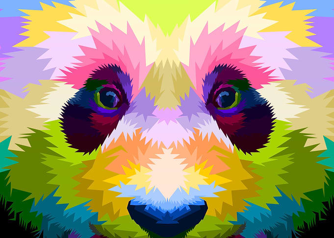 close up of face panda