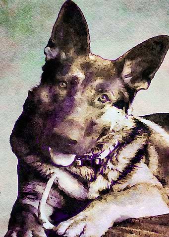 Doggy Ink Wash Painting