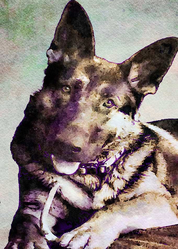 Doggy Ink Wash Painting