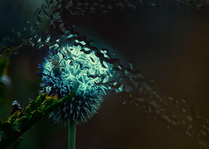 Through Glass