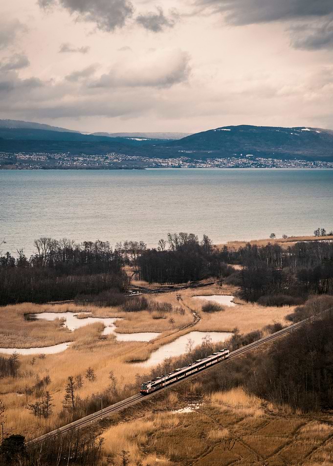 The train