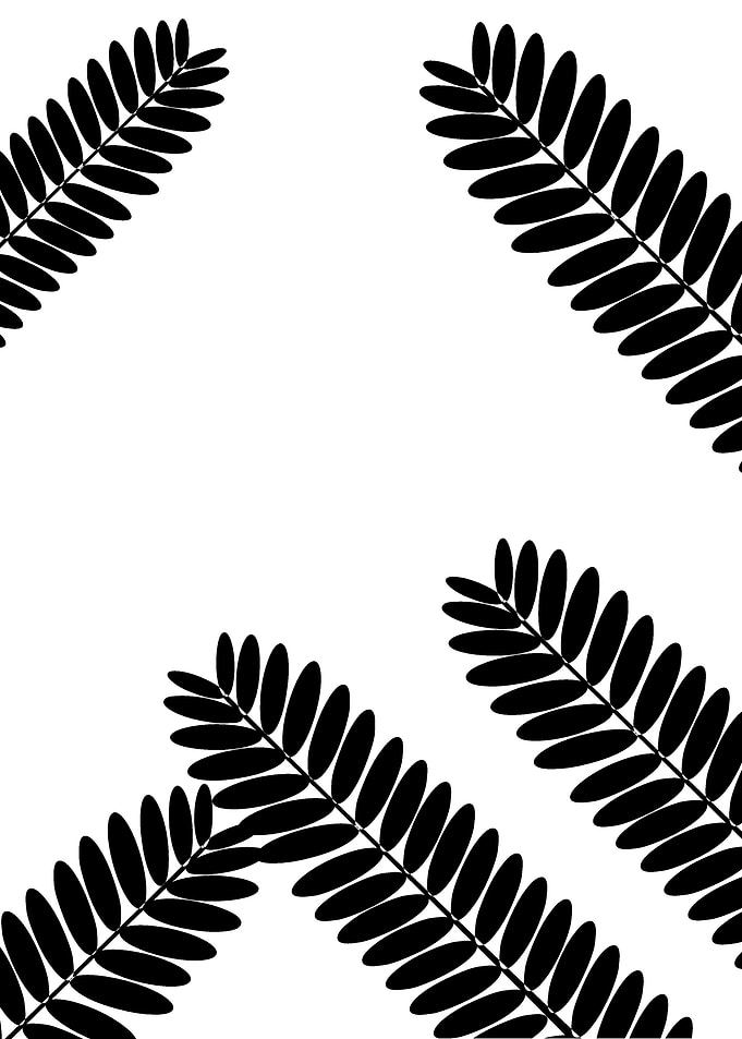 Fern BW
