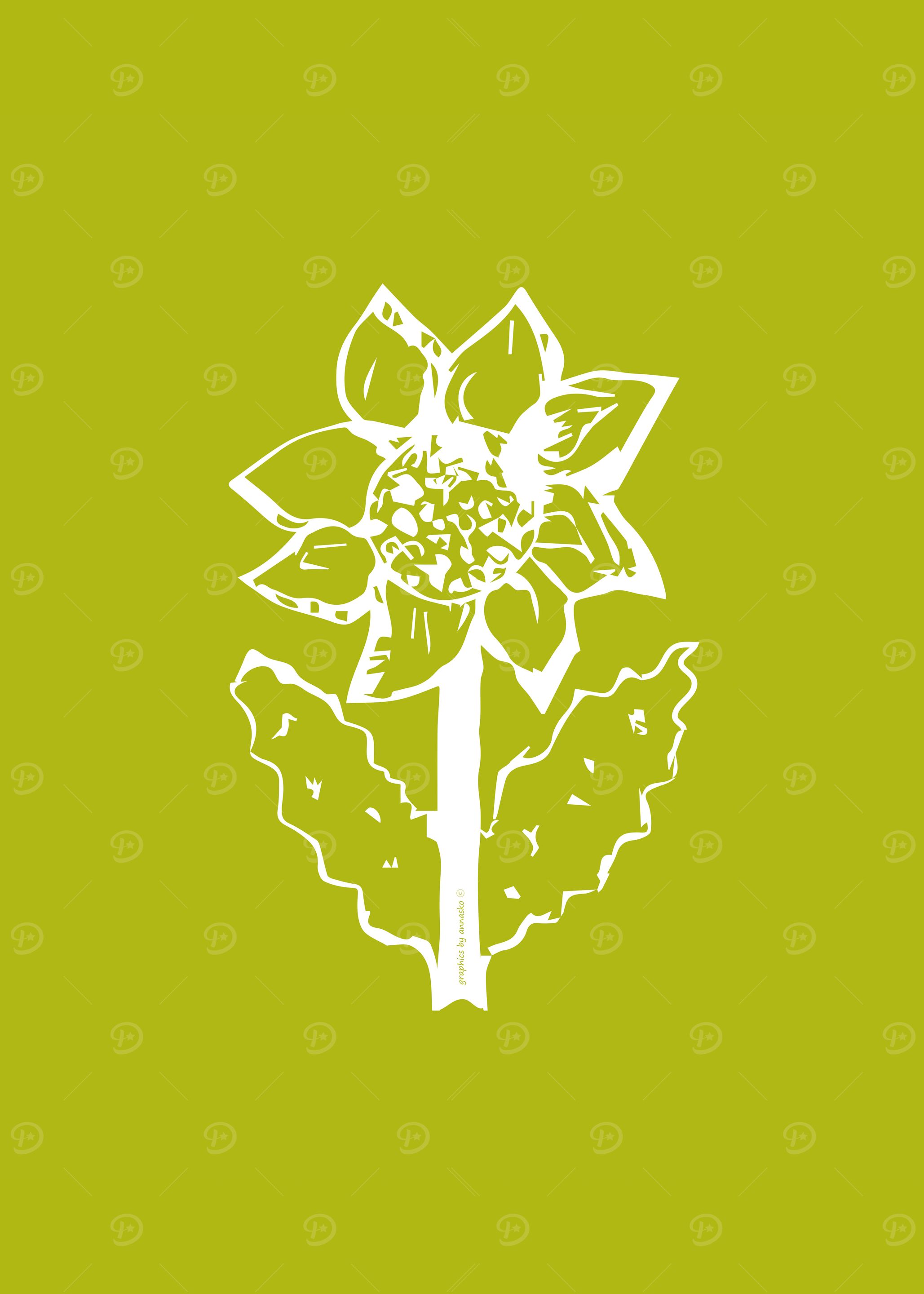 Sunflower white green