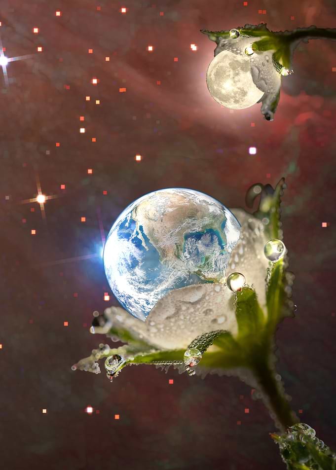Celestial garden