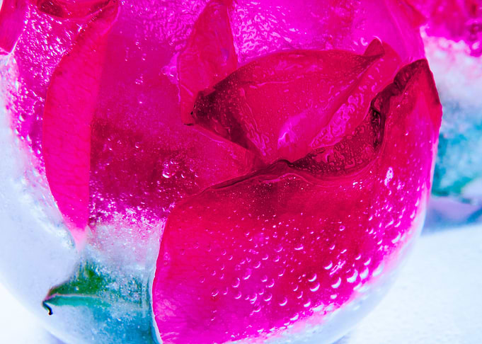 Rose in ice sphere 8