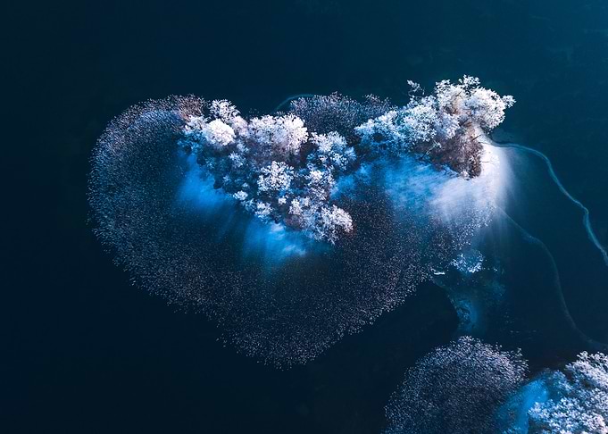 BLUE HEART
