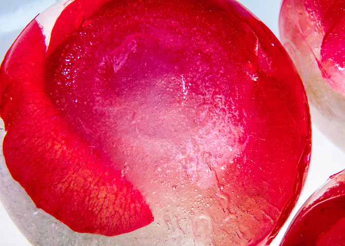 Roses in ice sphere 4