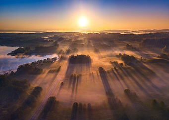 Morning light rays
