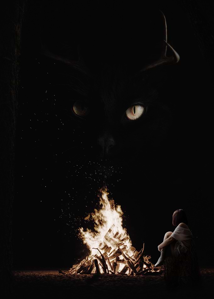 My Friend in the Shadows