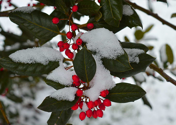 Snowflake