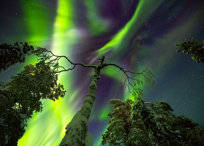Aurora Borealis
