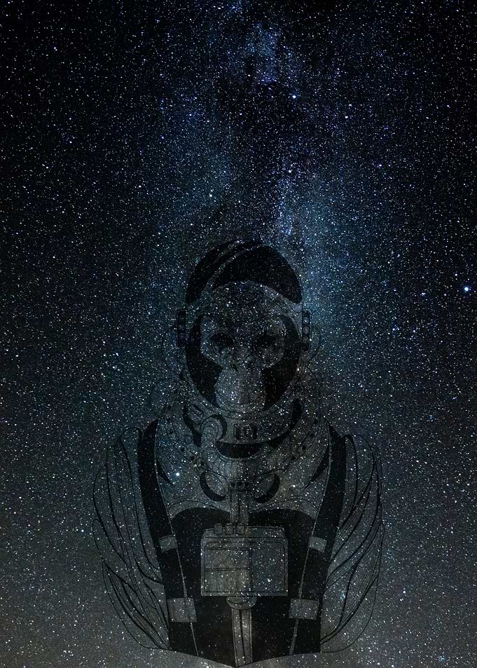 Interstellar Monkey