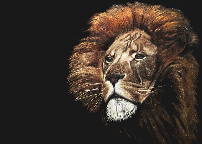 The King