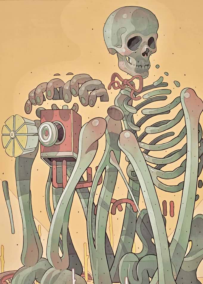 Skeleton as a facade image