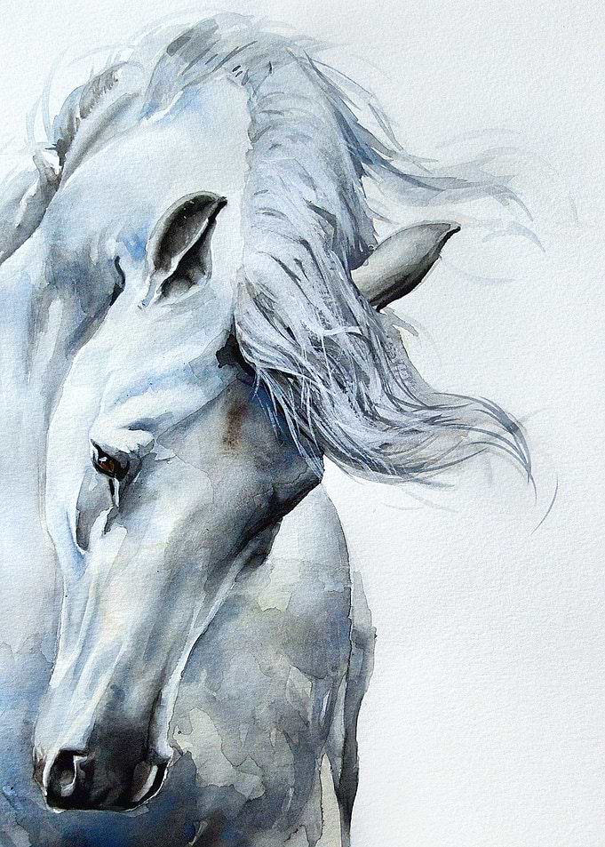 White Horse