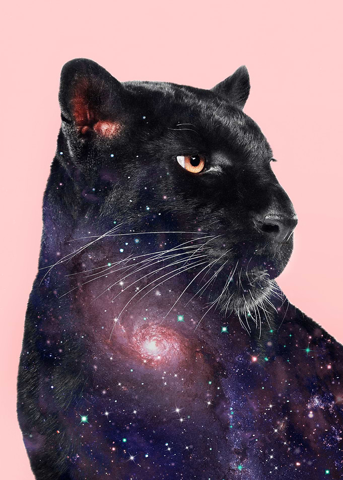 GALAXY PANTHER