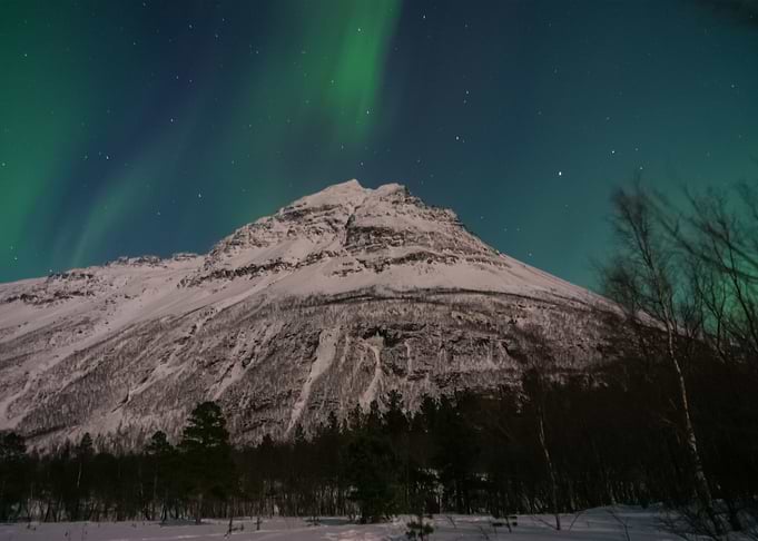 Aurora Lights 25