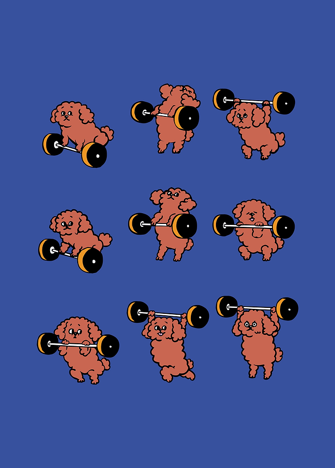 Olympic Lifting Poodle
