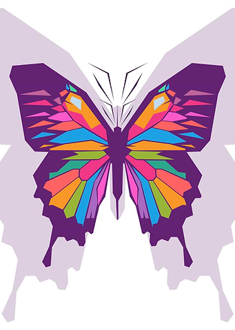 Beauty Butterfly