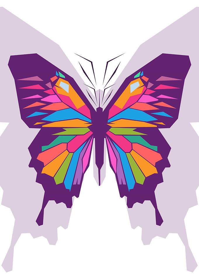 Beauty Butterfly