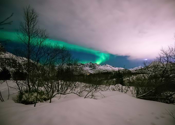 Aurora Lights 127