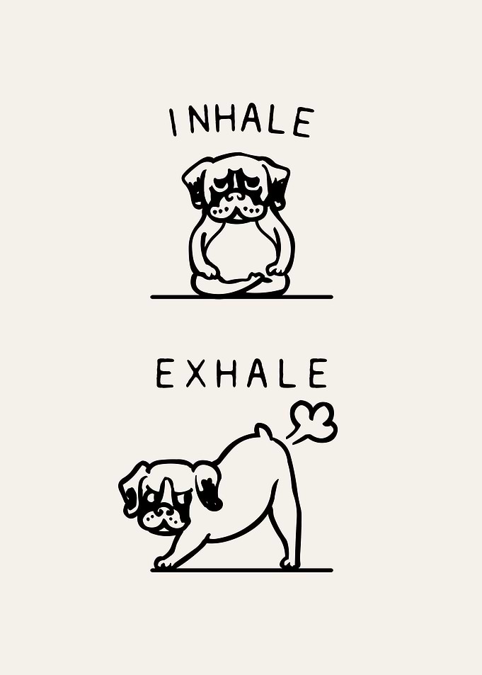 Inhale Exhale Boxer