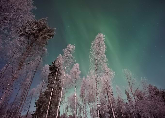 Aurora Lights 134