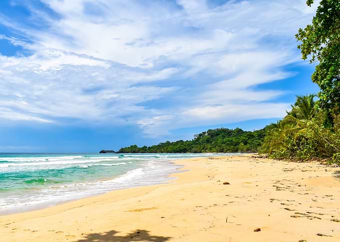 Wild Beach 1