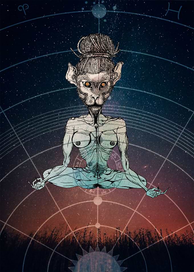Interdimentional evolution