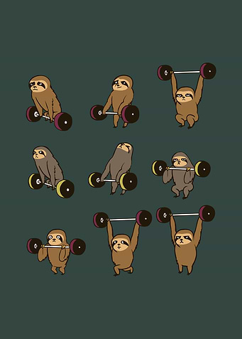 Olympic Lifting Sloth