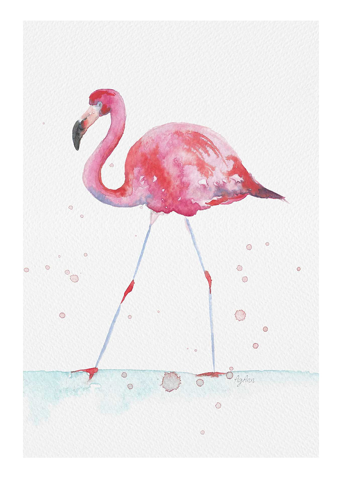 Pink Flamingo