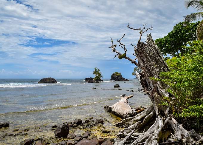 Wild Beach 2