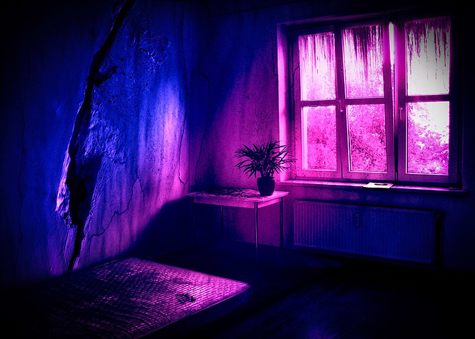 Dreaming