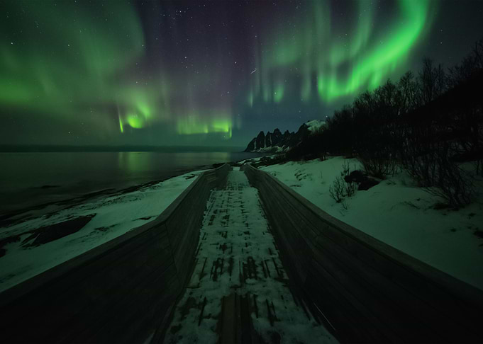 Aurora Lights 119