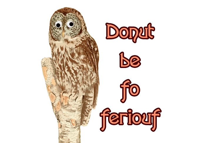 Donut be fo feriouf owl