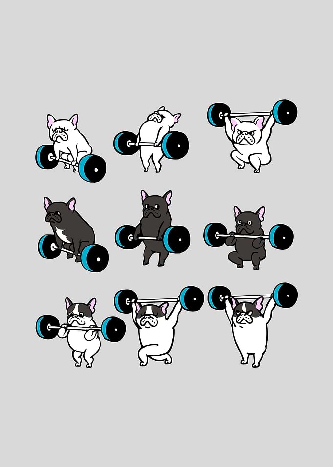 Olympic Lifting Frenchie