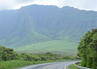Island Drive