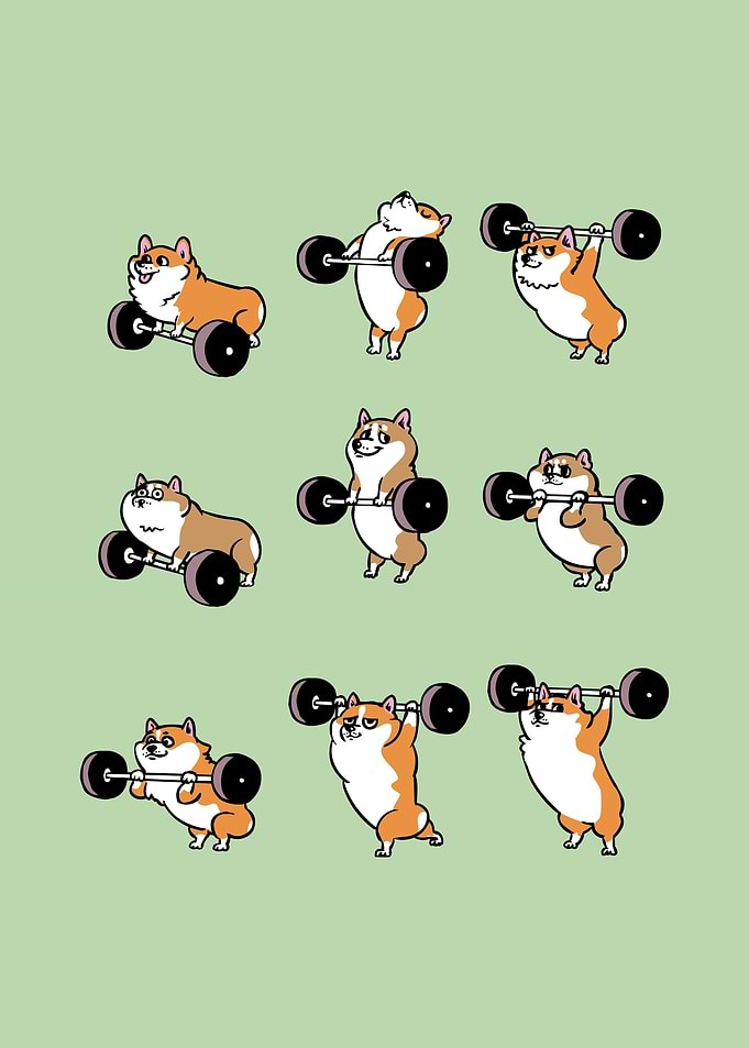 Olympic Lifting Corgi