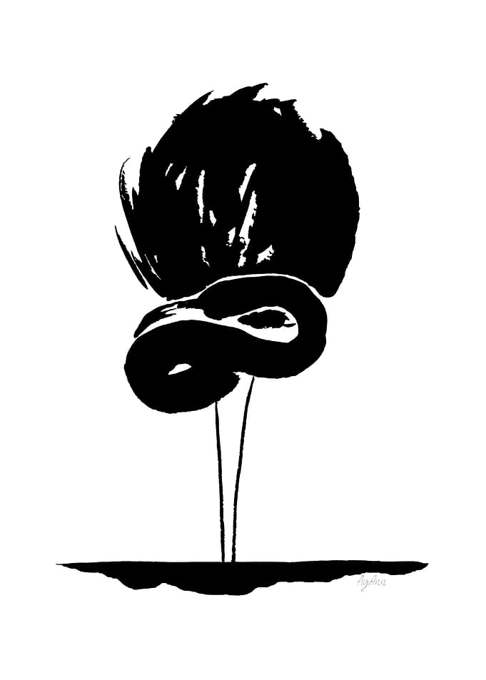 Black Flamingo